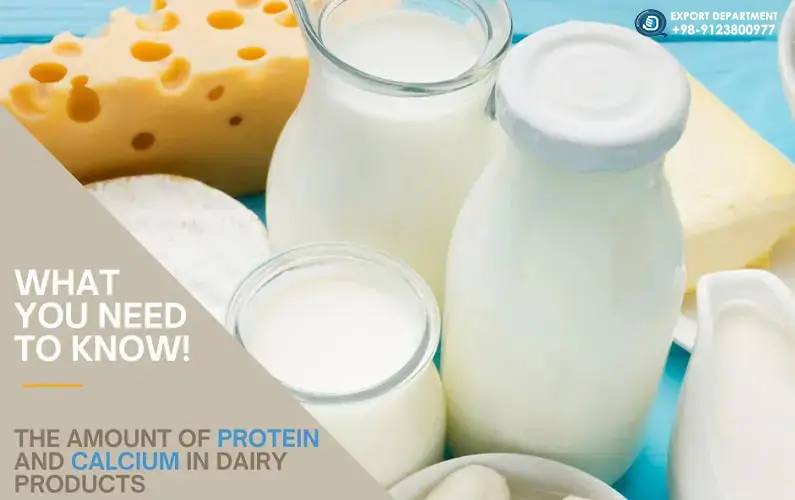 تحليل كميات البروتين والكالسيوم في منتجات الألبان المختلفة