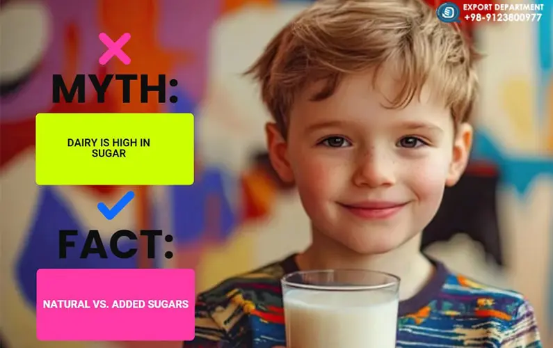 9 Dairy Myths Debunked: What You Need to Know
