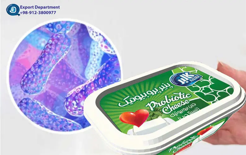 Probiotics:  Improving Gut Health and Supports a Healthy Immune System