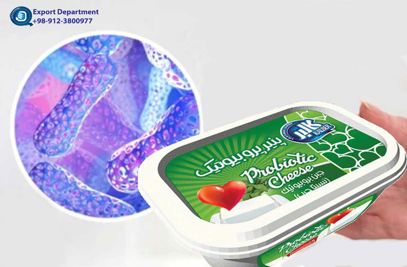 Probiotics:  Improving Gut Health and Supports a Healthy Immune System