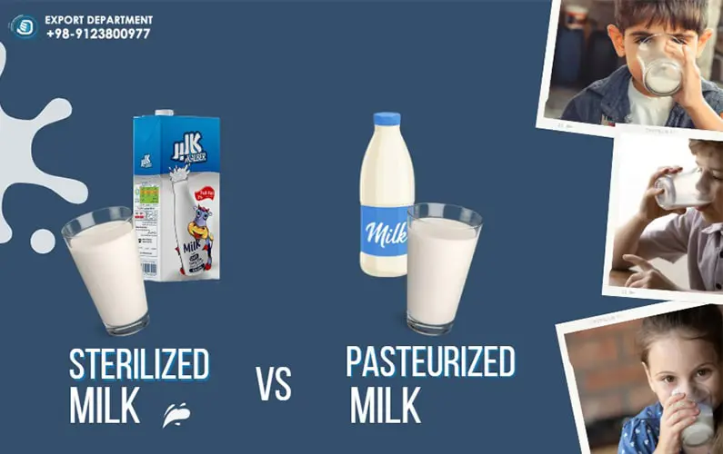 Comparing Sterilized and Pasteurized Milk for your daily consumption and healthy lifestyle