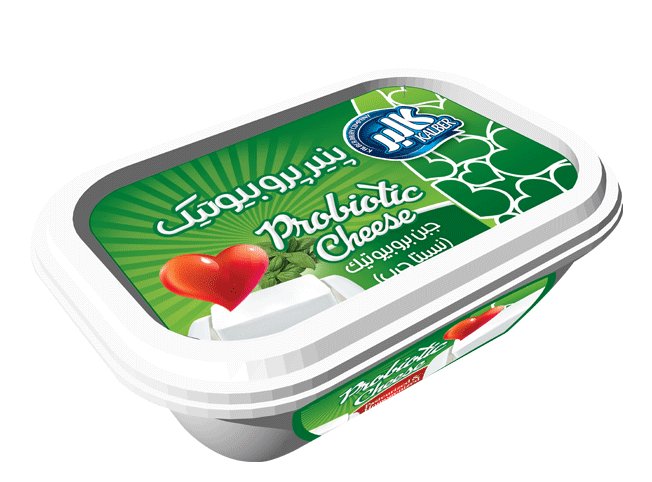 kalber Feta Cheese supply from Iran