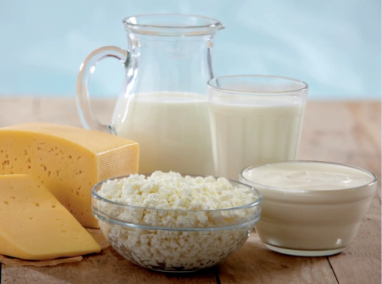 Comparison of Protein and Calcium Content in Different Dairy Products