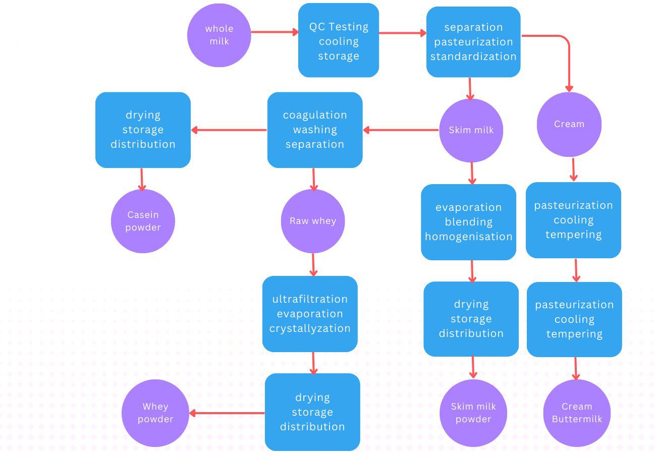 milk processing in dairy factory