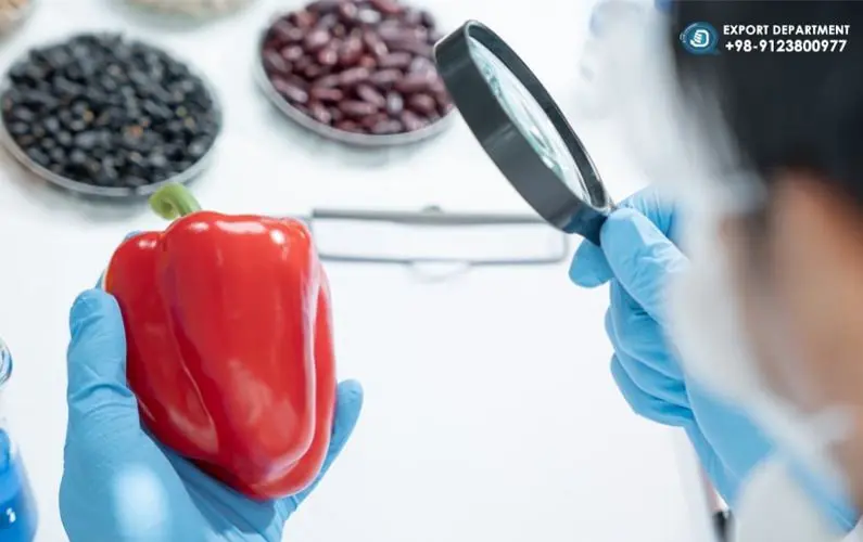 استانداردهای ضروری مواد لبنی